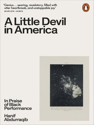 cover image of A Little Devil in America
